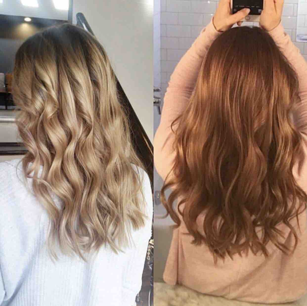 Toner/Glaze Blowdry