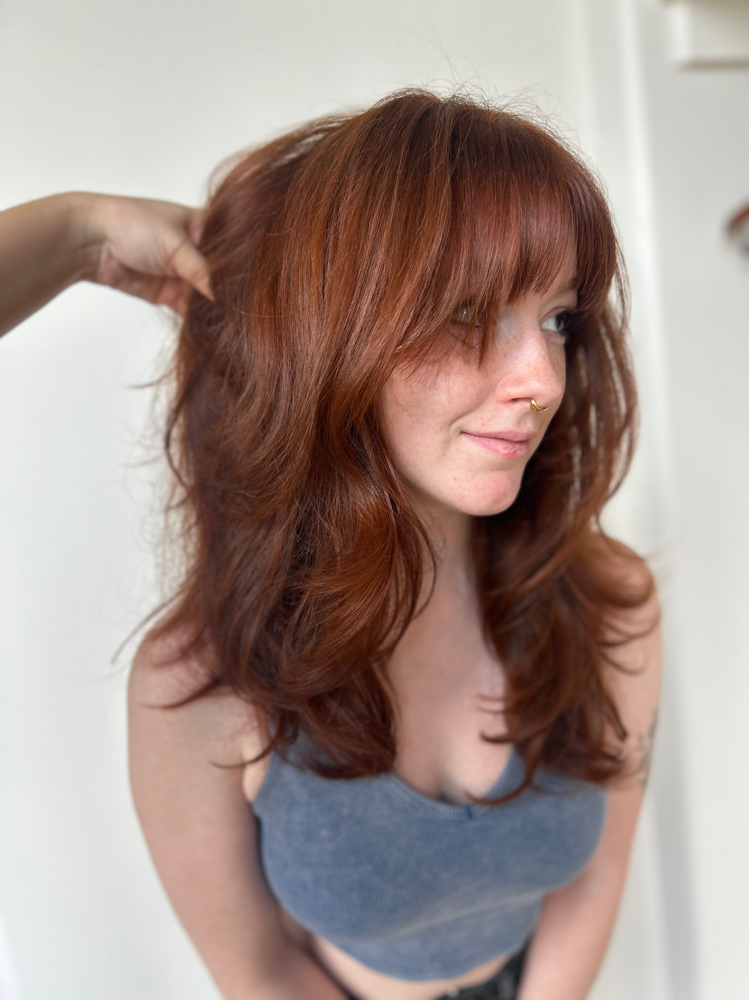 All Over Color/ Haircut