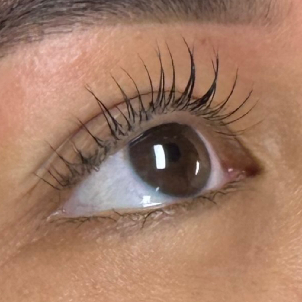Lashes & Add Ons at Stingers Tattoo and More in Boise, ID