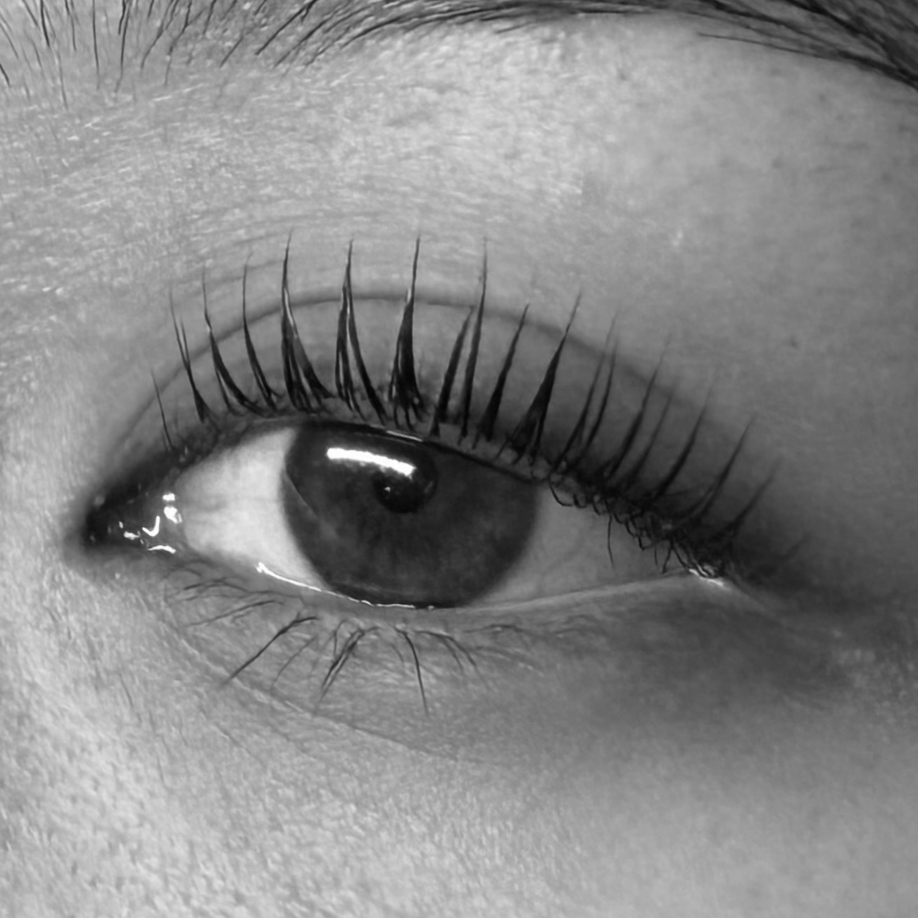 KOREAN LASH LIFT * NO TINT at Cozmo Esthetics in Dallas, TX