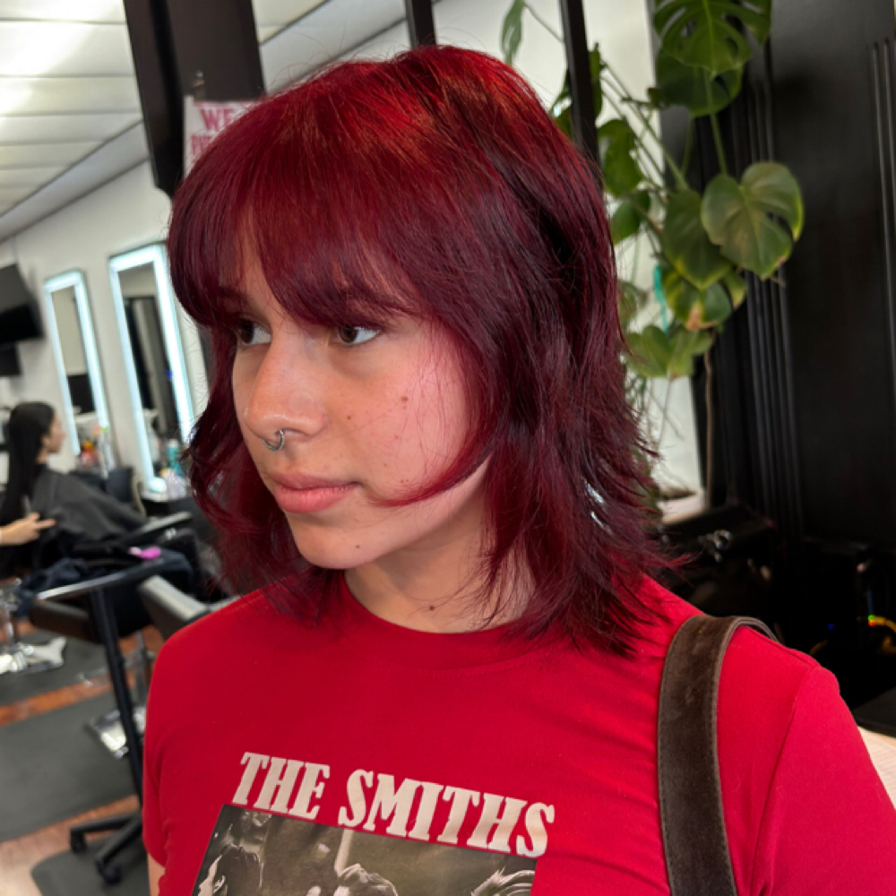 All Over Color at Ladybug Cuts in Mission Hills, CA