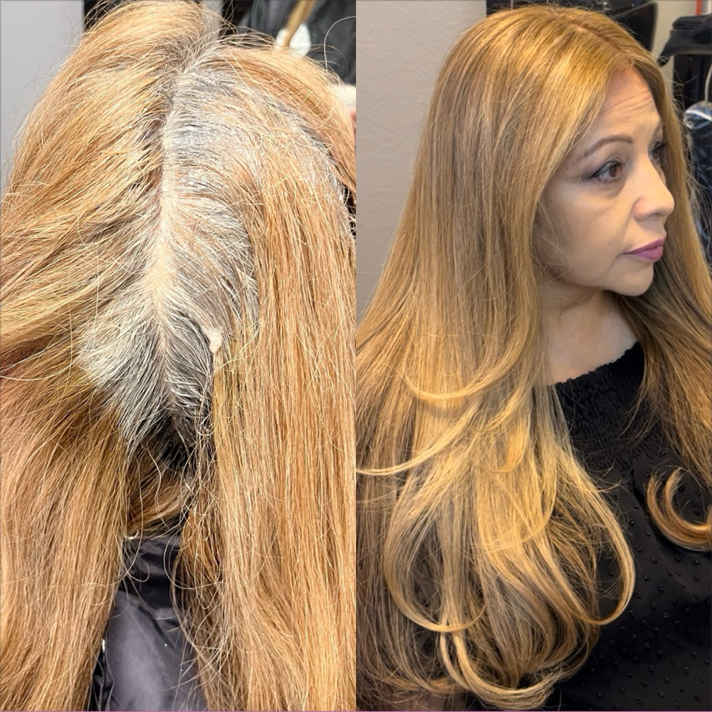 Color Retouch/ Grey Coverage