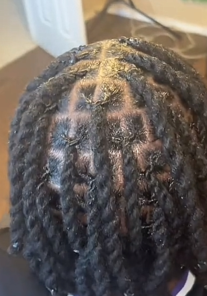 Two Strand Twist
