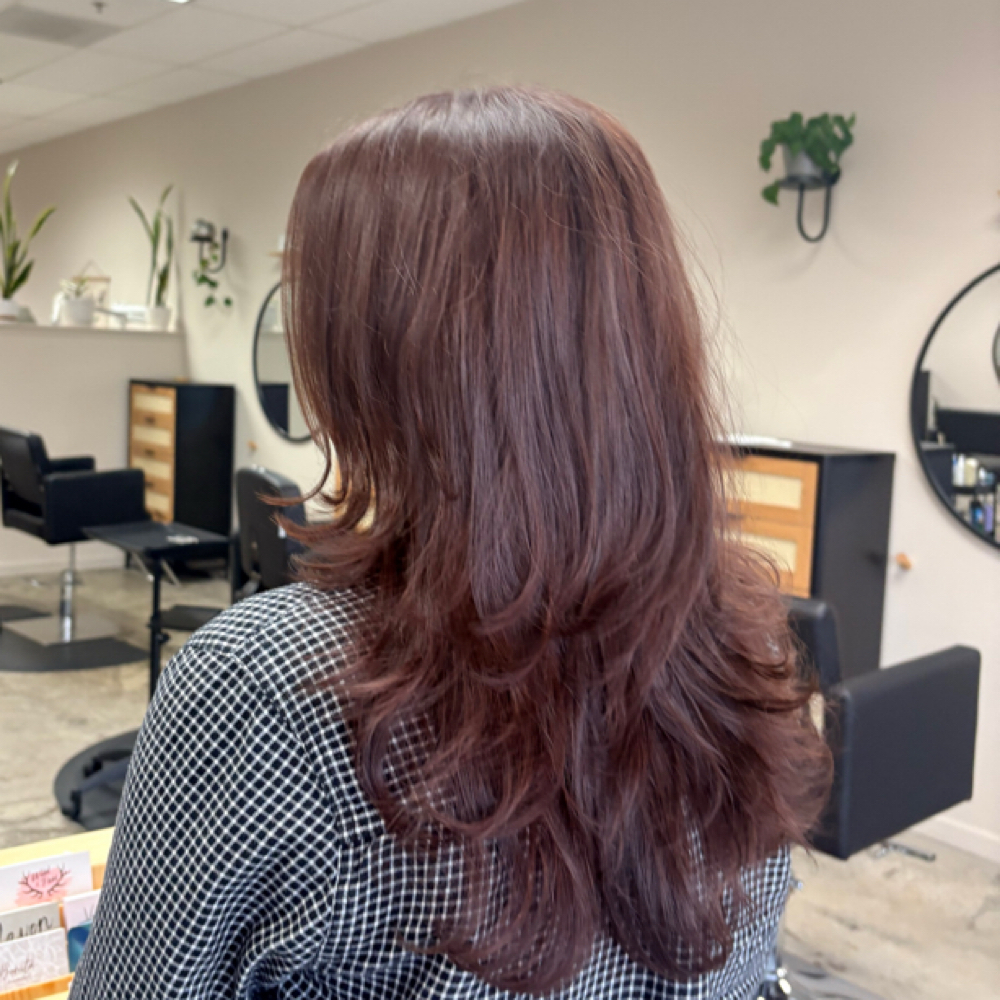 All Over Color+blowout+haircut at Madison Pike in Paso Robles, CA