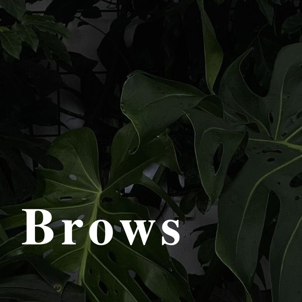 Brows