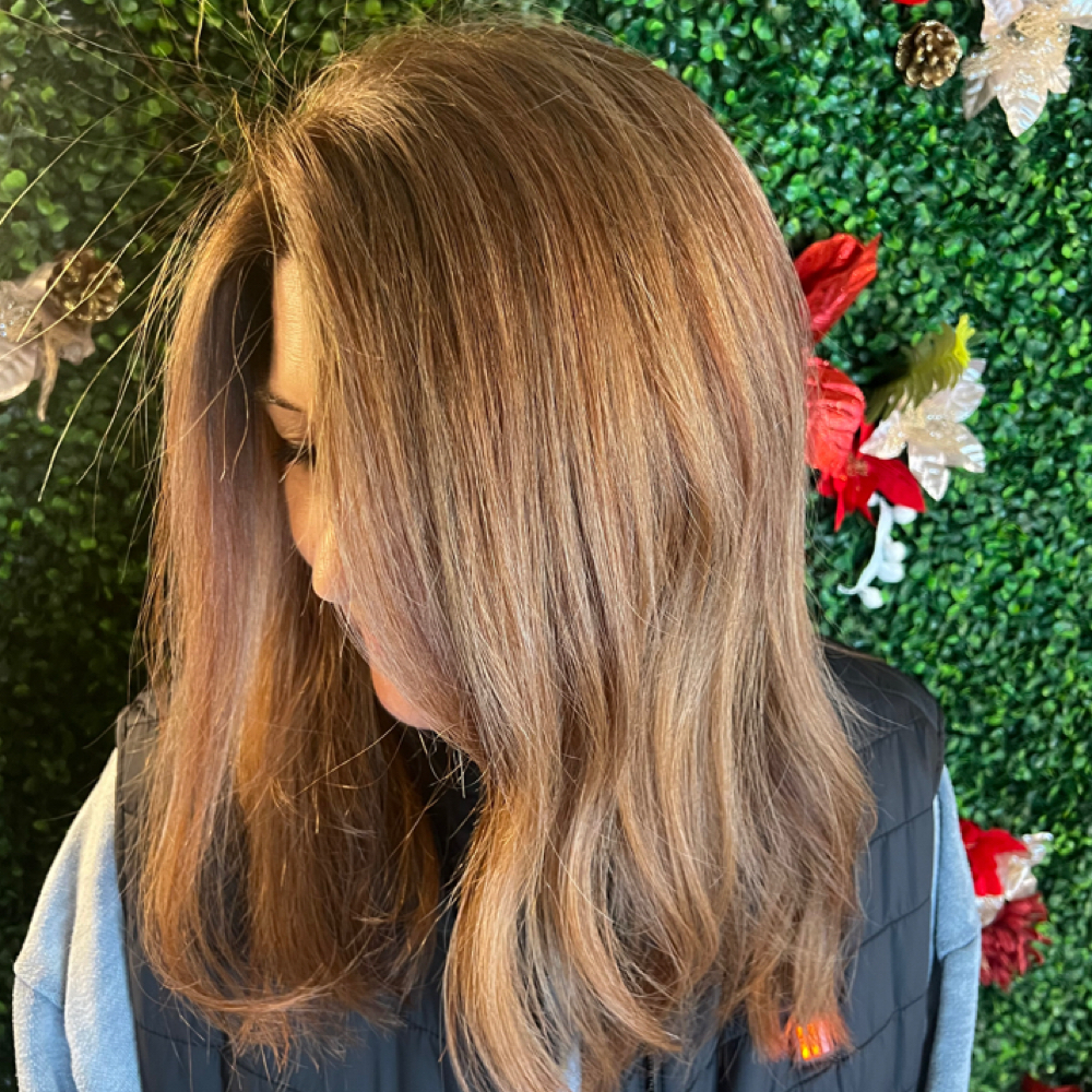All Over Color W/ Partial Highlight at Elysie Rae Hair Studio in Kennesaw, GA