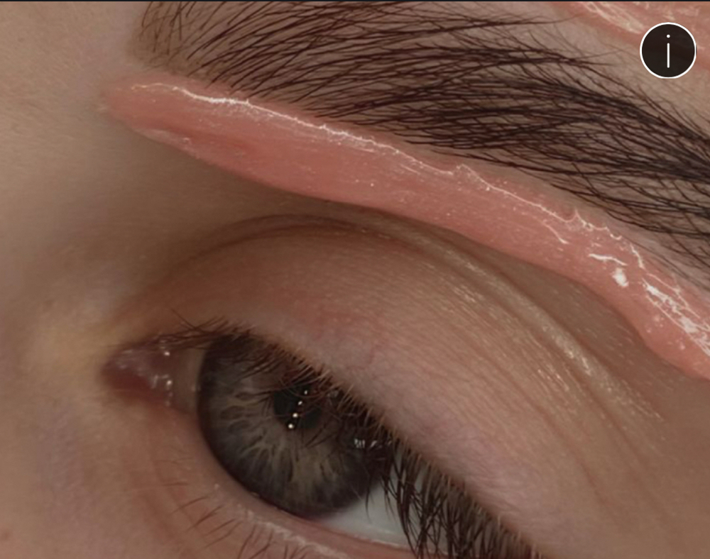 Eyebrow Wax and Tint