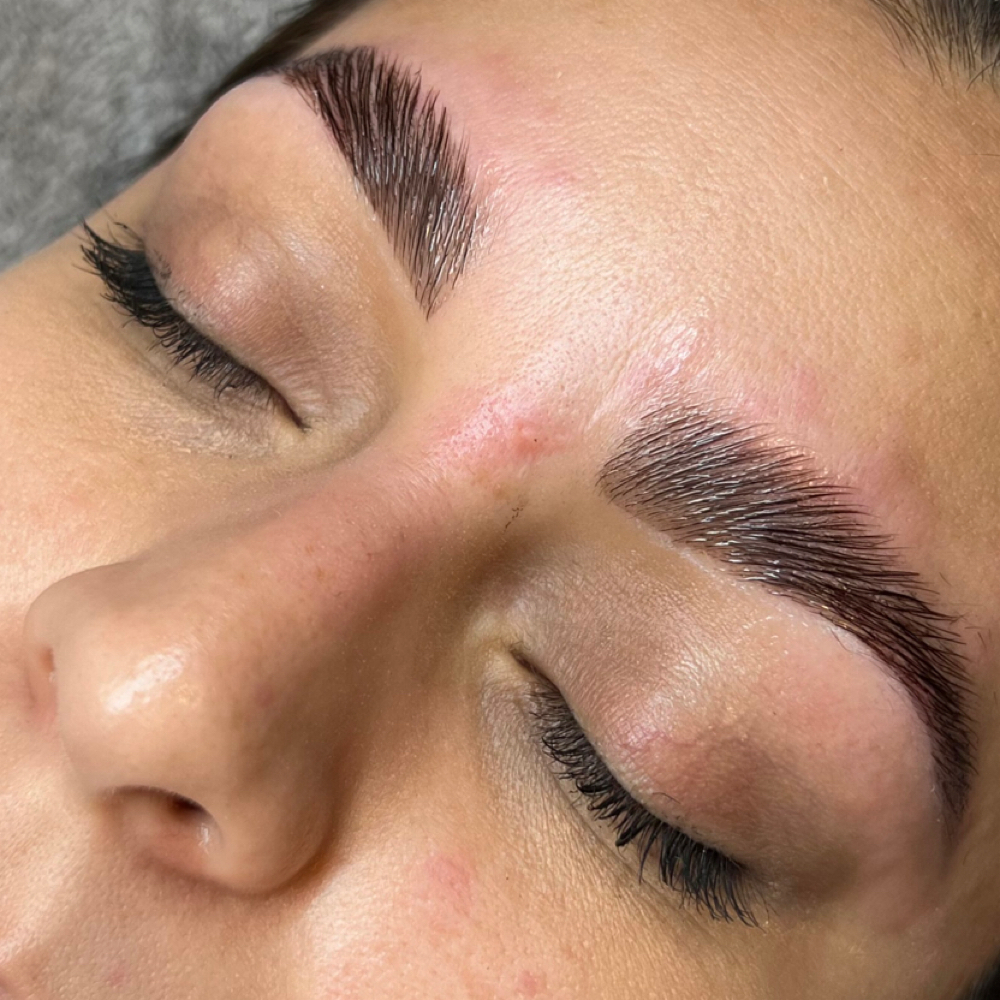 Brow Lamination + Tint at The Skin Co. in Orange, CA