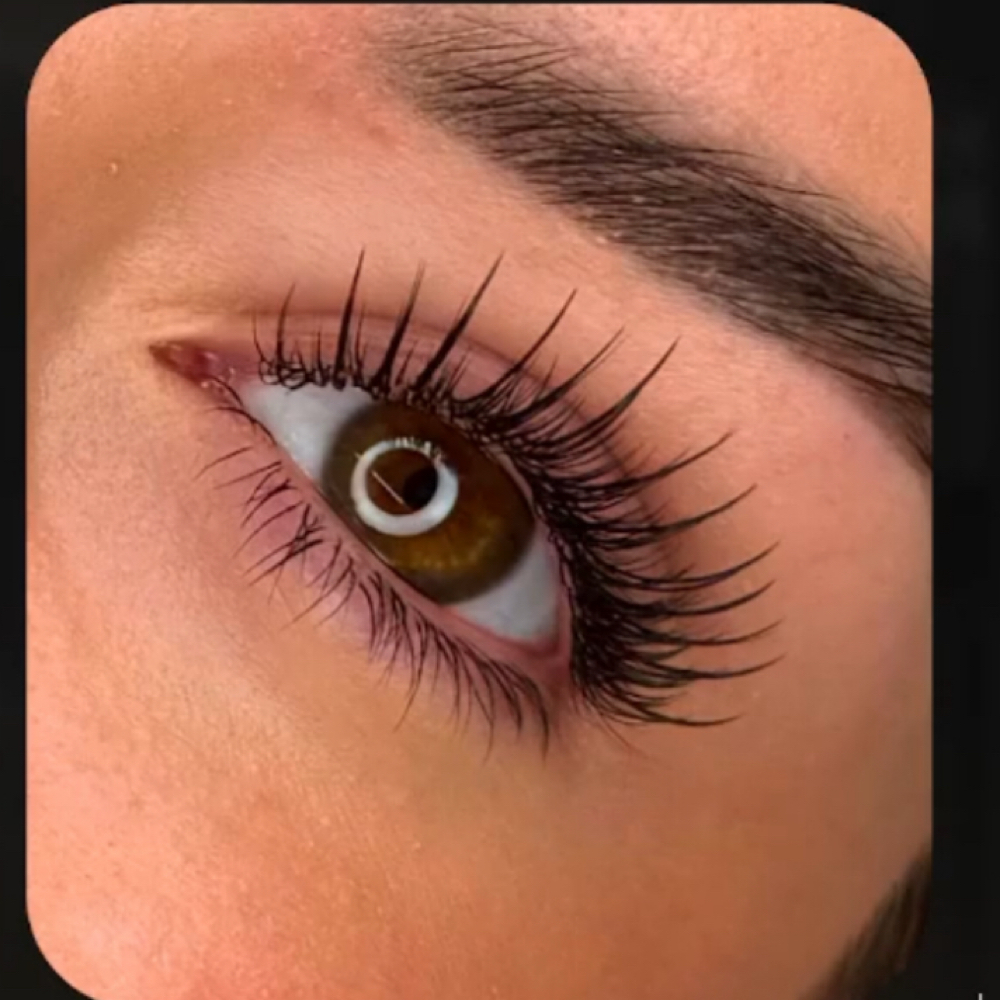 Lash Model