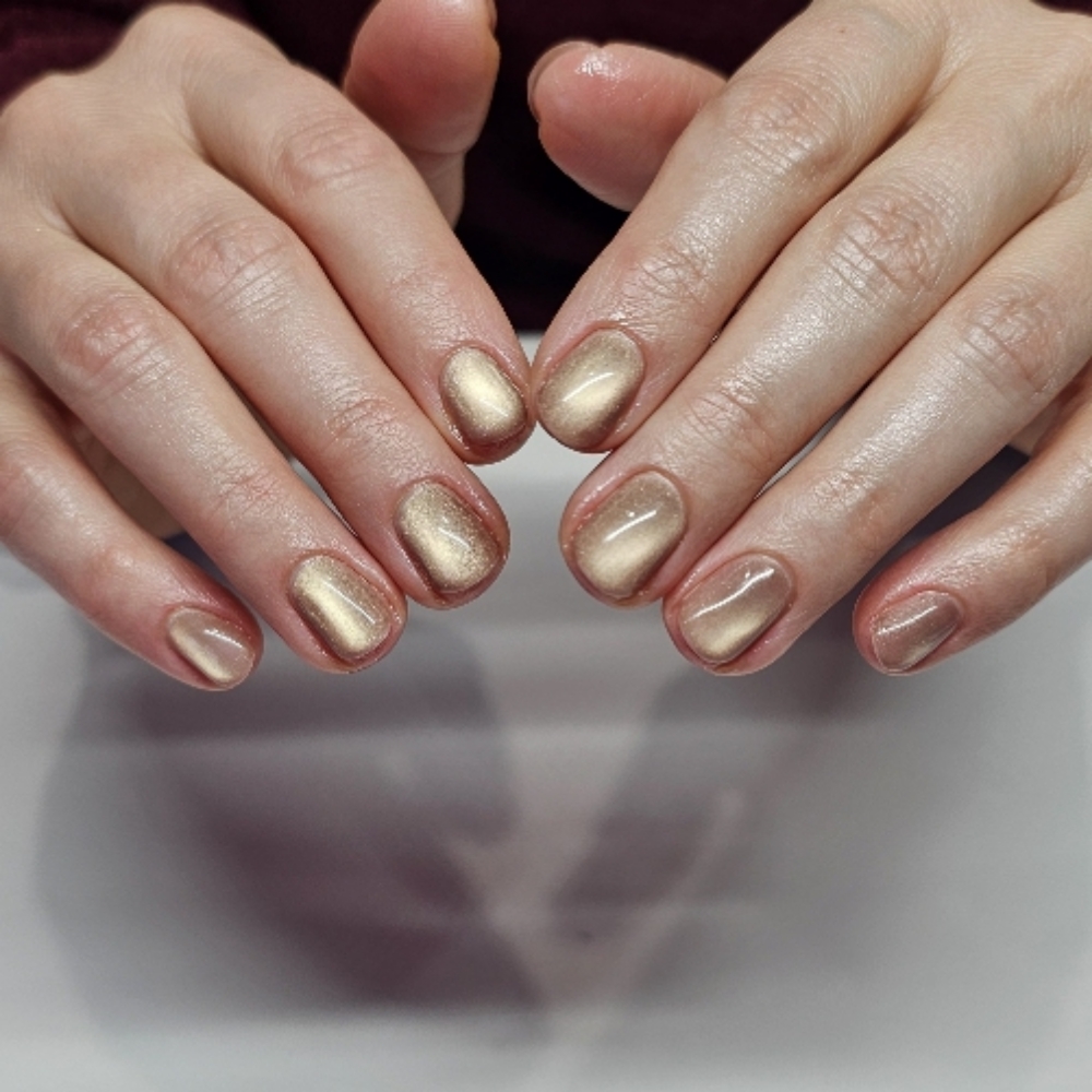 Full Cateye / Magnetic Gel at Luster Nail Studio in Phoenixville, PA
