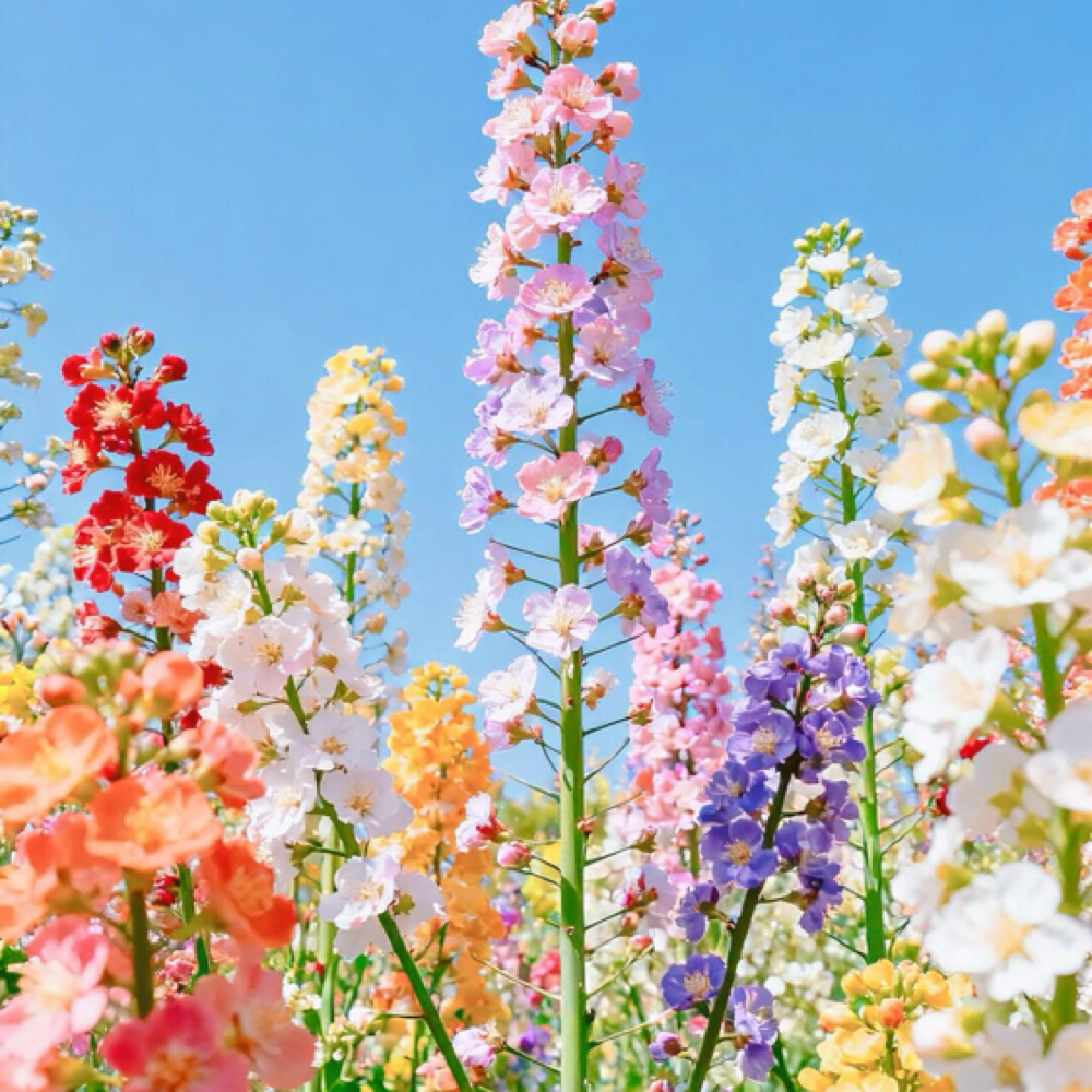 Spring Refresh Facial at Cry Baby Aesthetics in rochester, MN