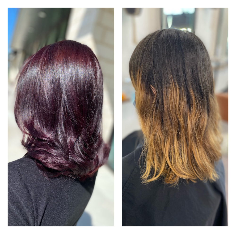 Color - All Over Color & Cut
