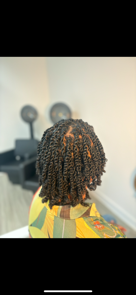 Two Strand Twists