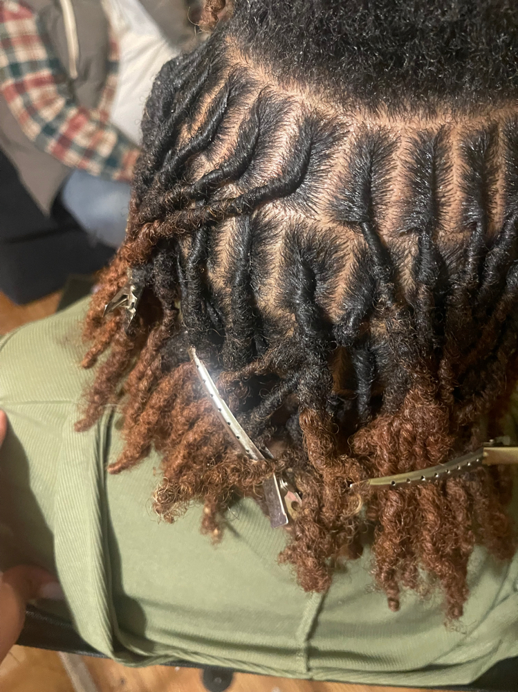 Lock Retwist Regular Size at Braids By Aurora in Houston, TX