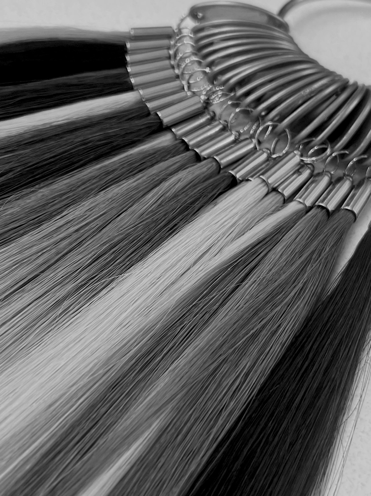 Extension Consult at Hair by Lindsay Switzer in Huntington, WV
