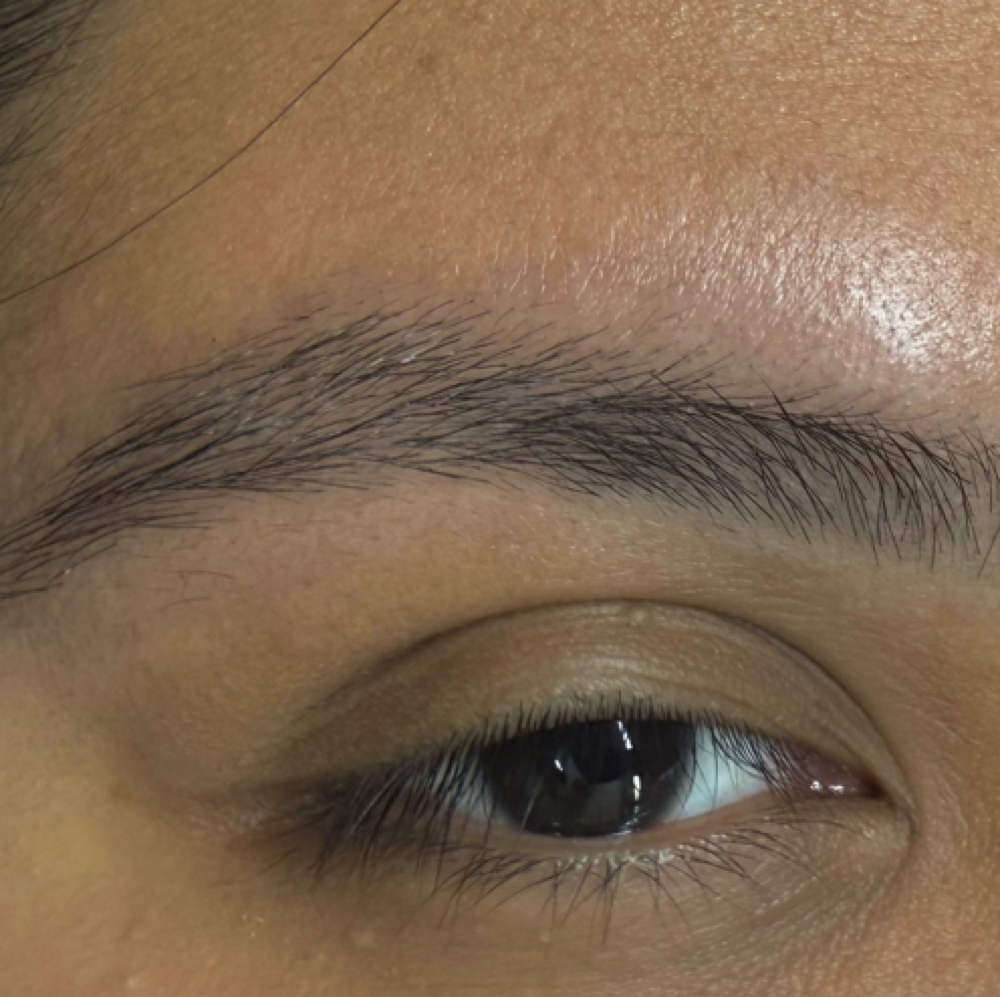Eyebrow Tint+Wax at Hair by Morgan Hicks in Greenville, TX