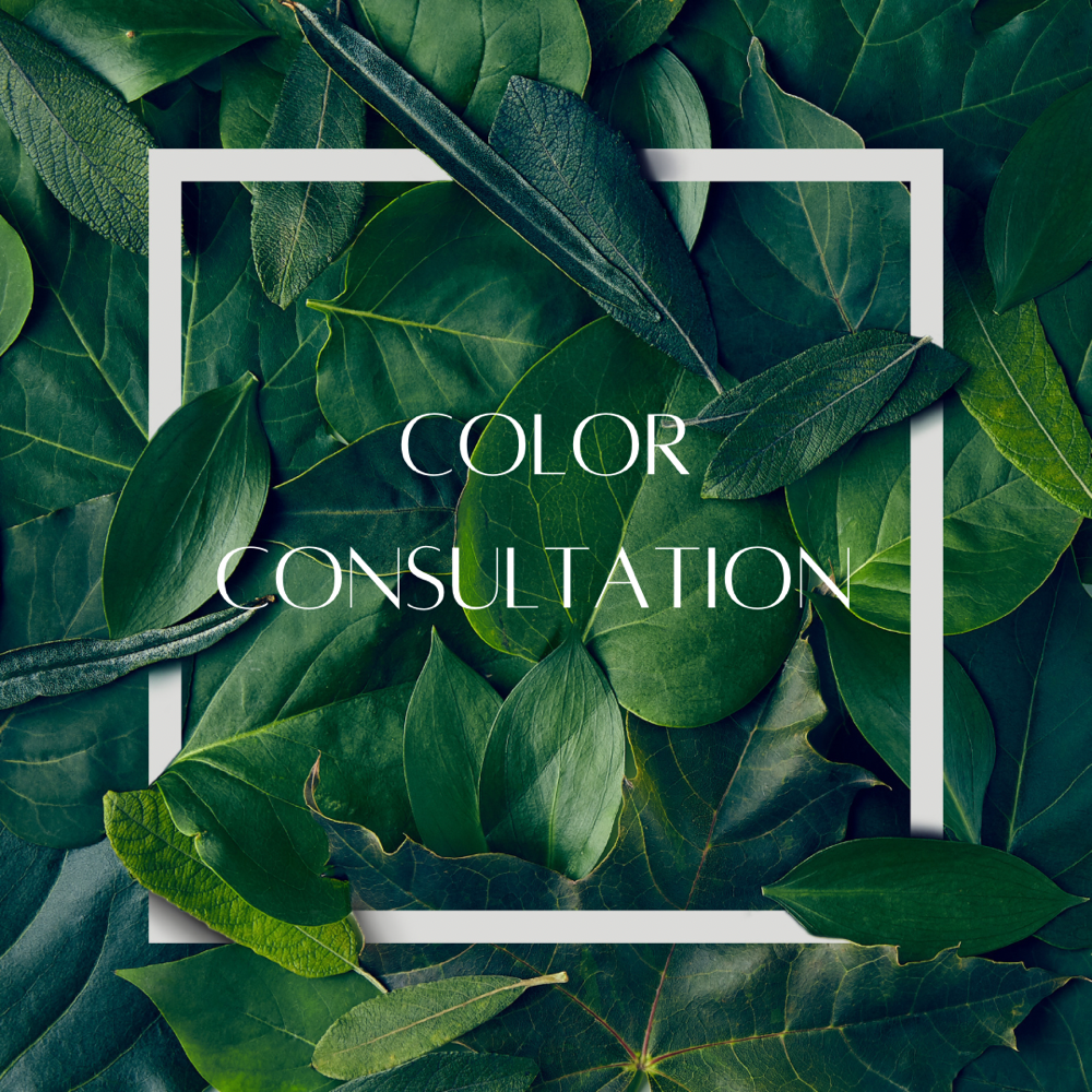 Color Consultation