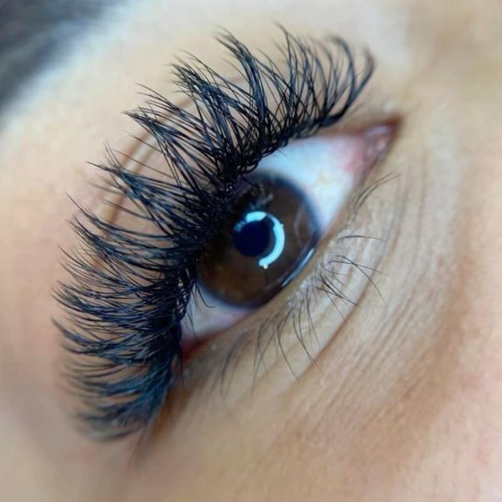 Natural Volume Lashes (Temporary) at Wilgard Golden Beauty in Philadelphia, PA