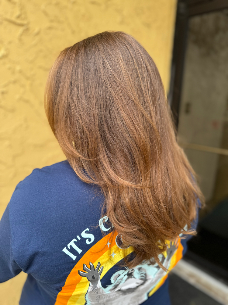 Wash/blowdry/style