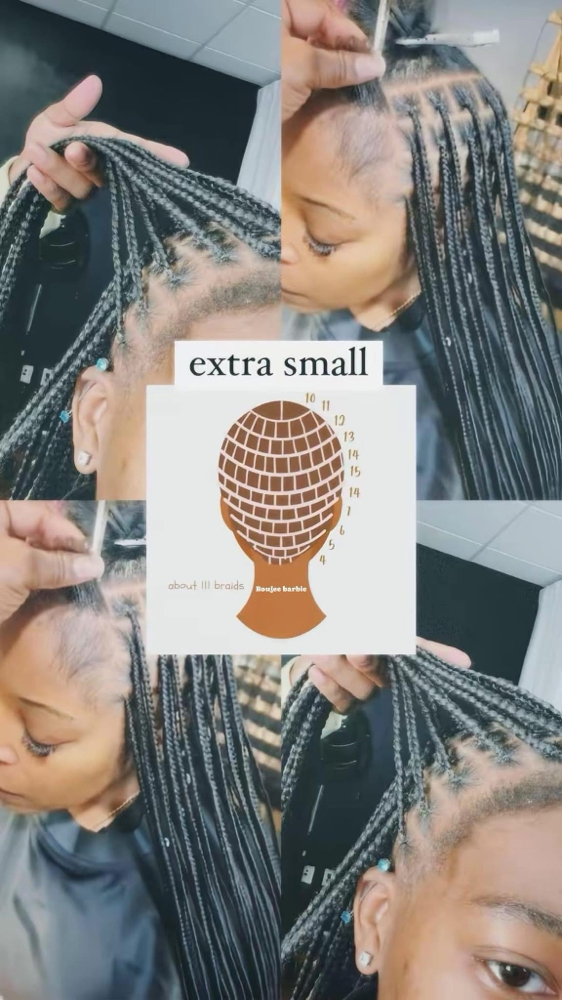 SmallKnotles/boxBraids