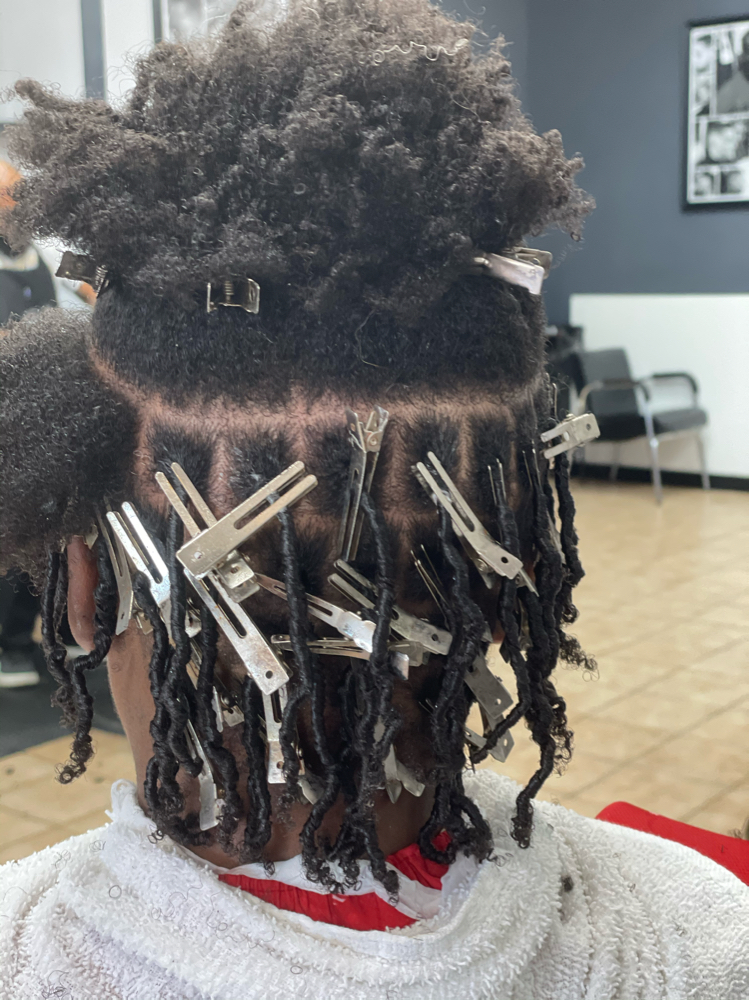 Starter Locs