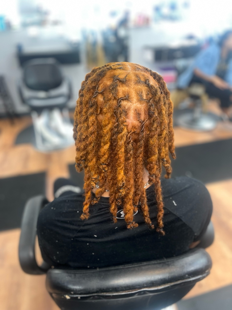 Full Head Color at Locsoflevitia in Suite 170, MI