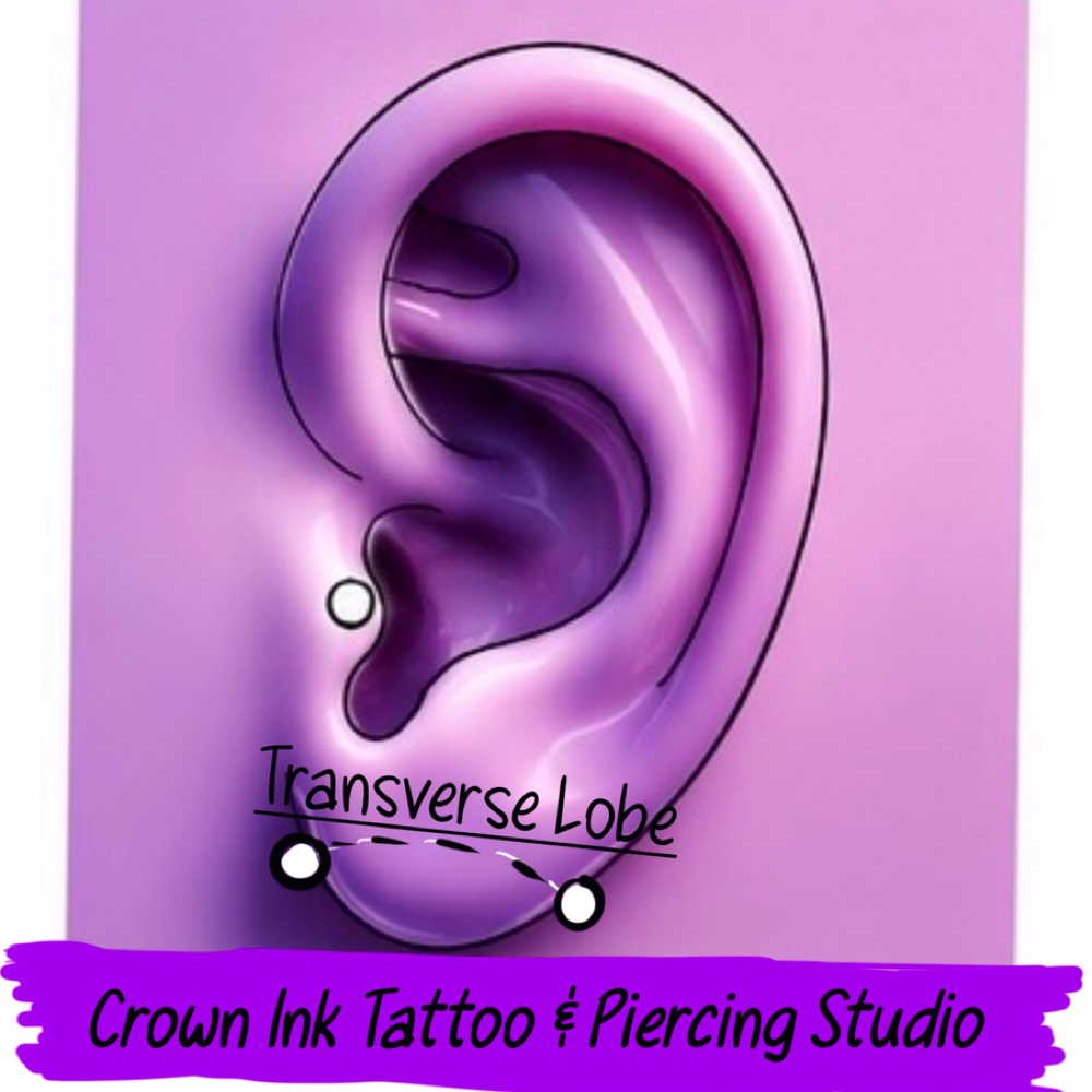 Transverse Lobe at The crown ink studio in Corpus Christi, TX