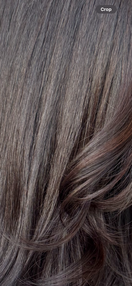 Color Retouch at The Luxe Brunette Studio in Riverview, FL