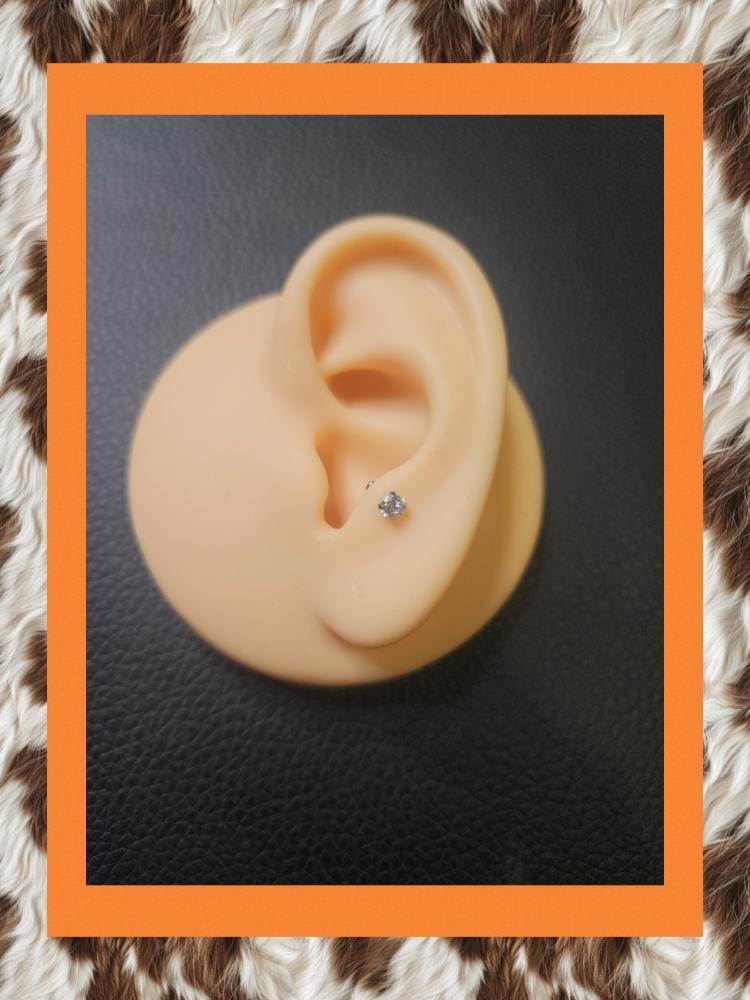 Anti Tragus