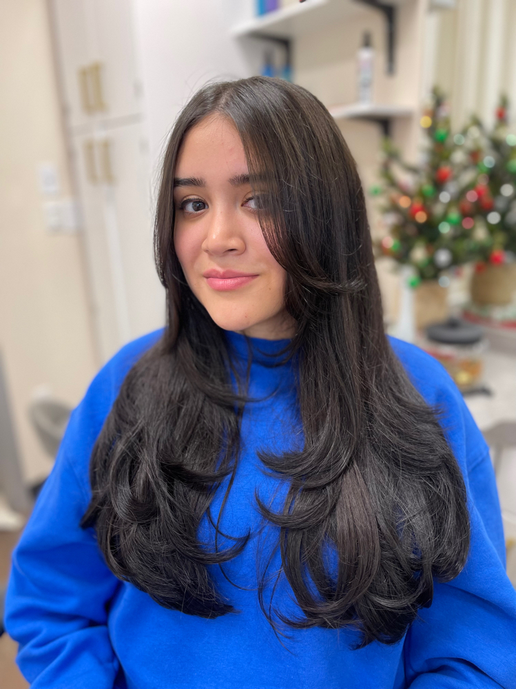 Dry Cut & Style