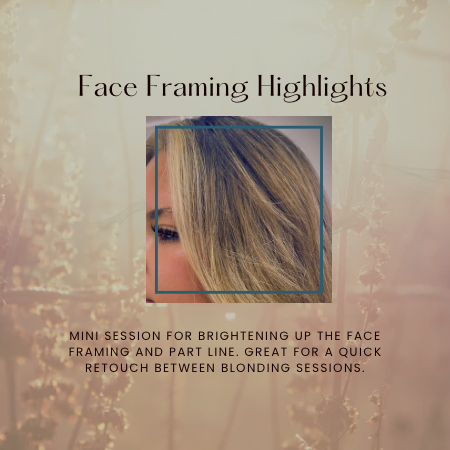 Face Framing Highlight