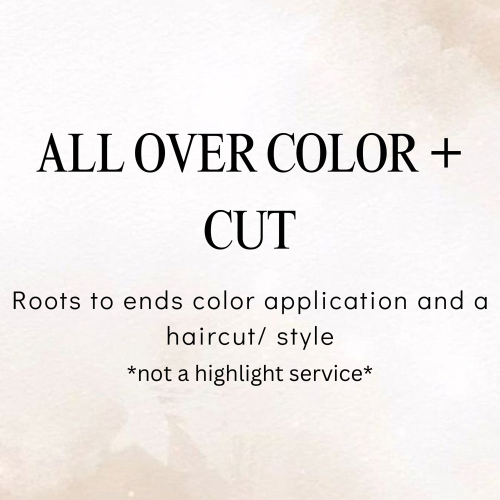 All Over Color + Cut at The Amanda B Hair in Ellicott City, MD