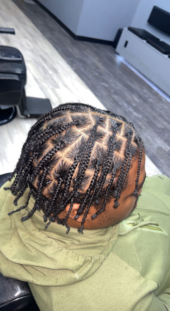 Wash & Single Braids (Natural Hair)