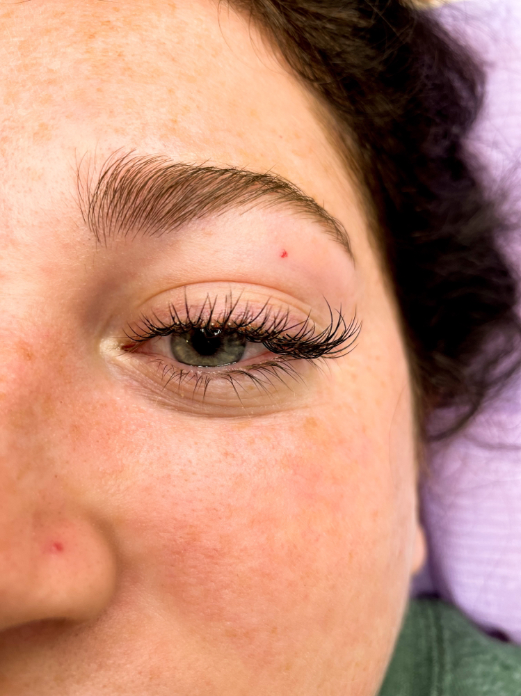 Classic Lash Fill