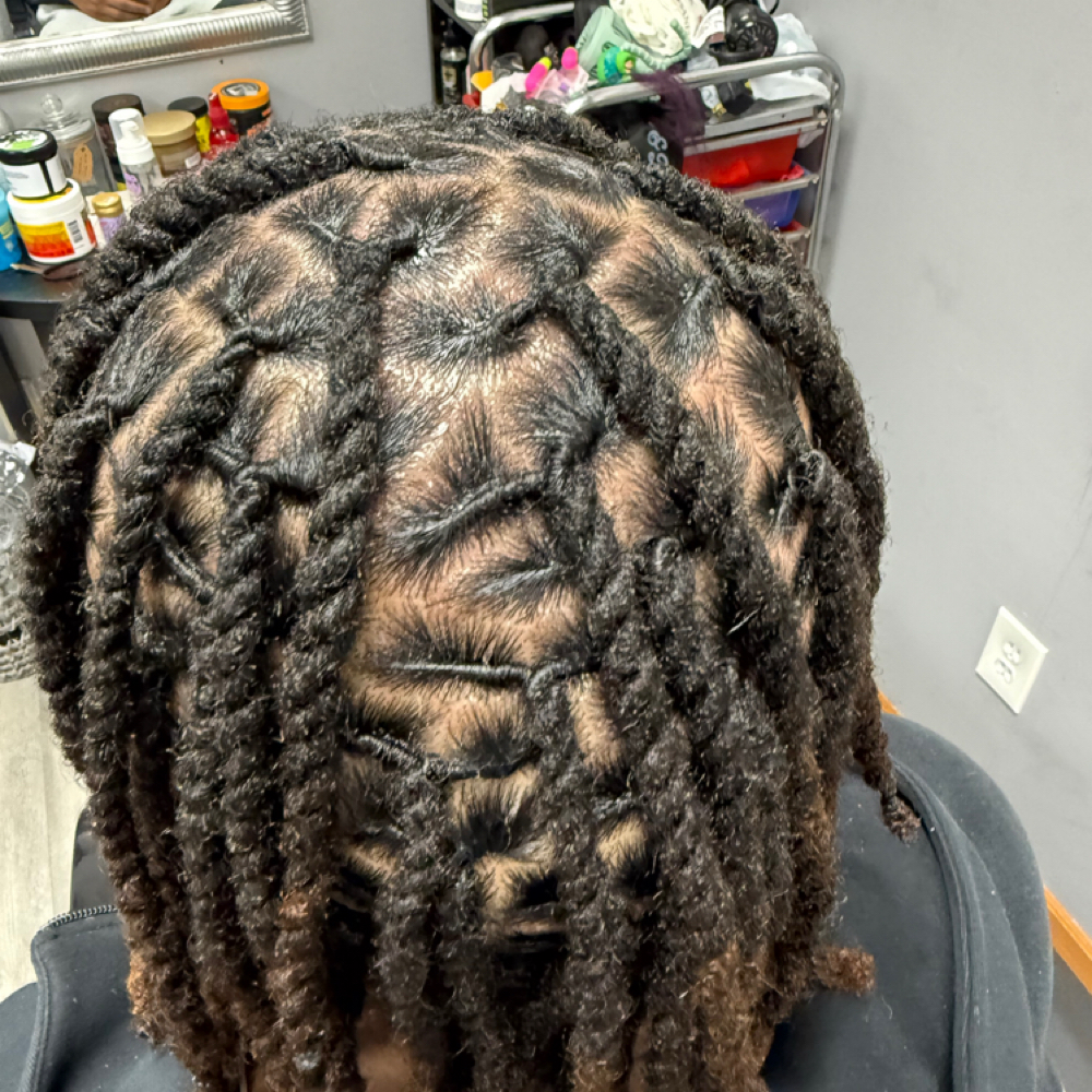 Two Strand Twist at Bb hair & Beauty LLC in Lincoln, NE