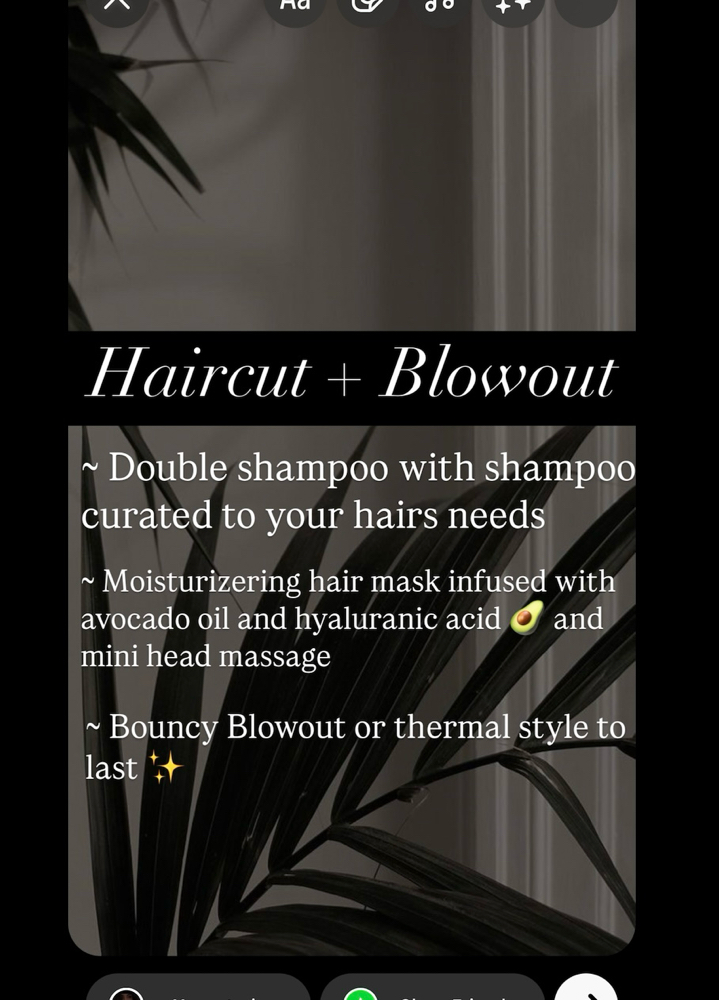 Womens Haircut + Blowdry Style