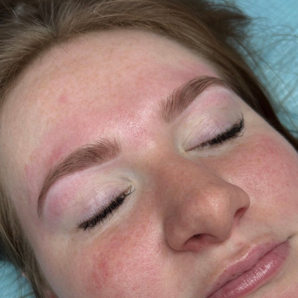 Brow Tint + Shape at Premier Lash Spa & Academy in Effingham, IL