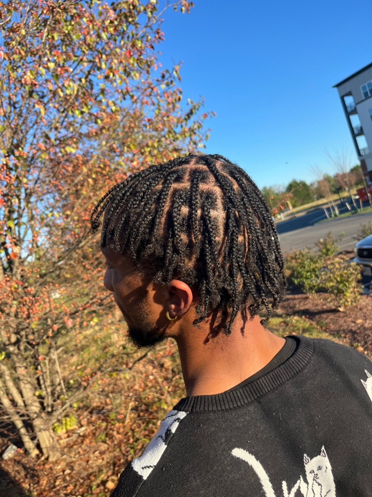 Individual braids
