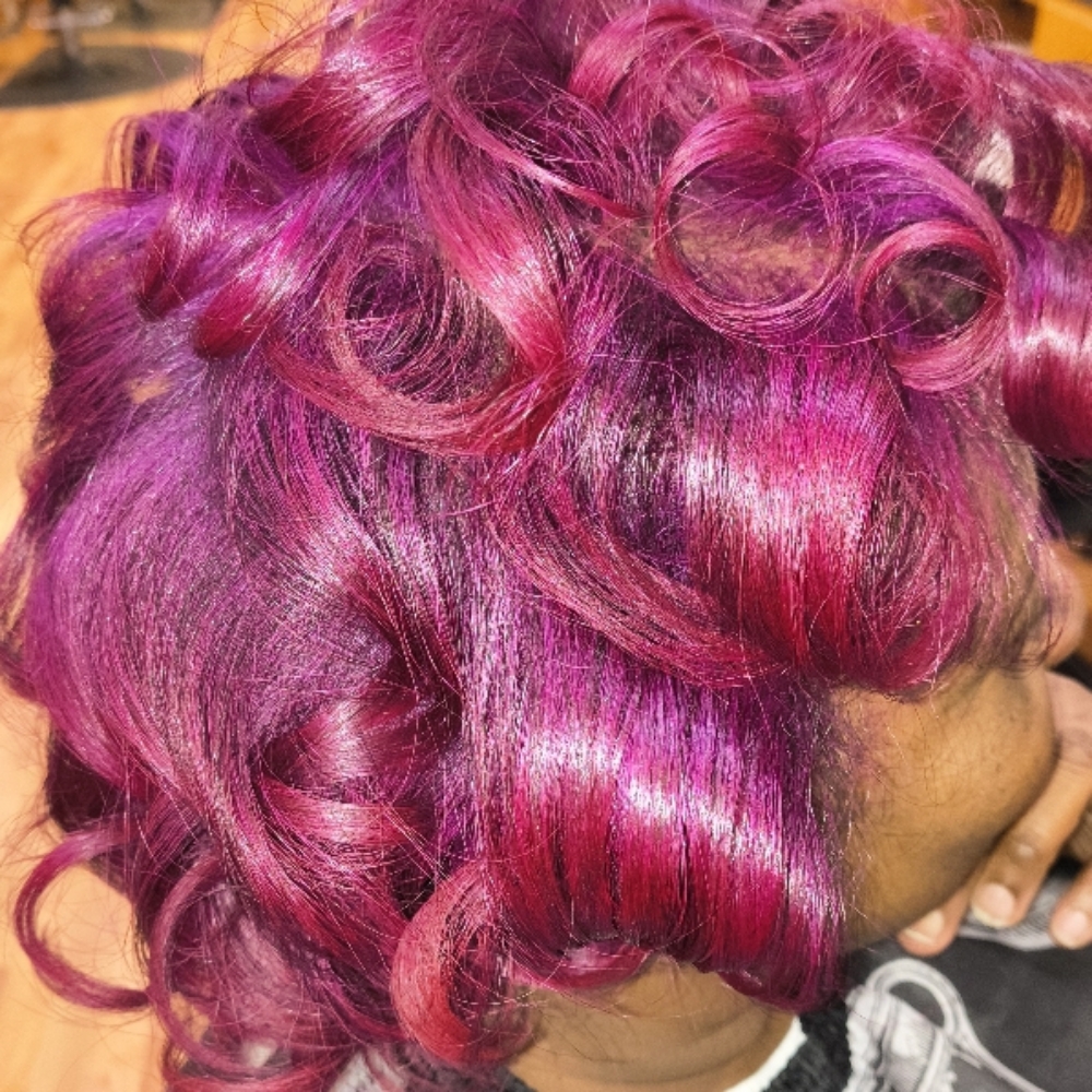 All Over Hair Color(Deposit Only) at Elegant Disclosure Hair Studio in Blaine, MN