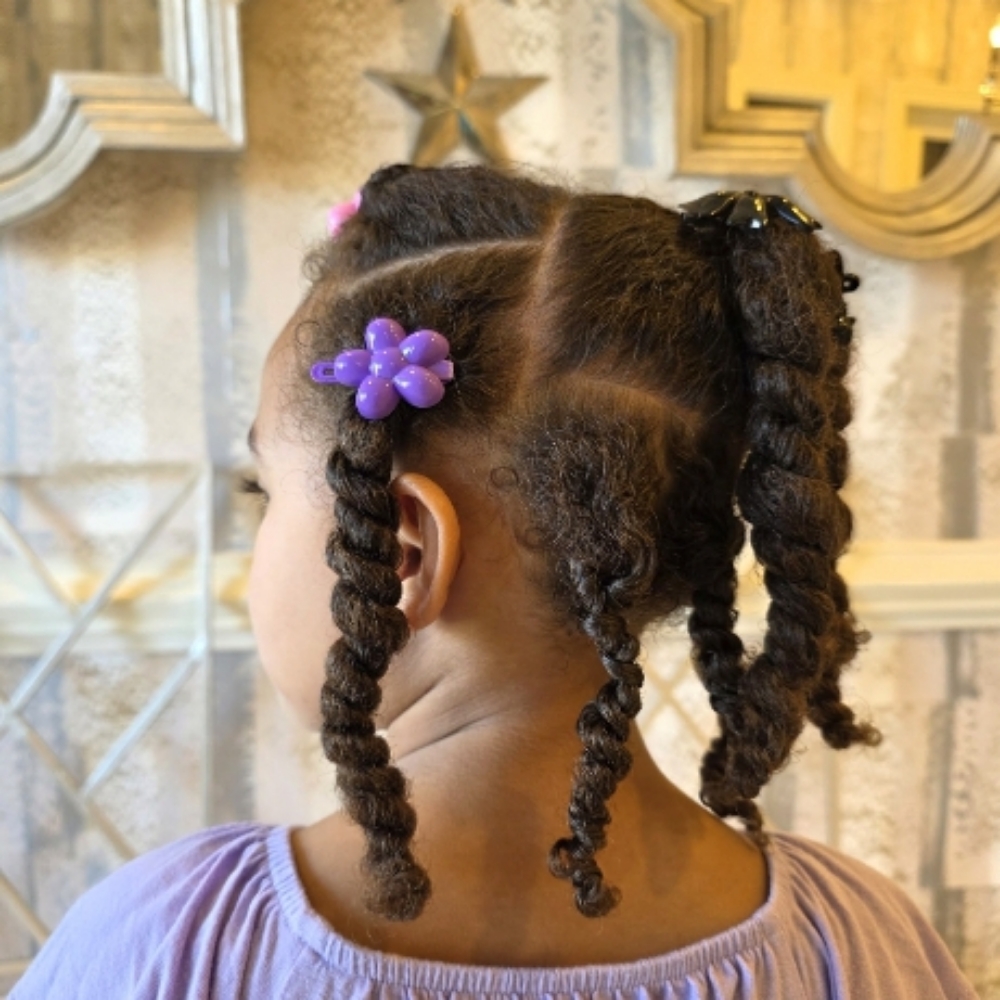 Pigtails Or Braids Styling at Passionate Creations Hair Salon LLC in Cary, NC