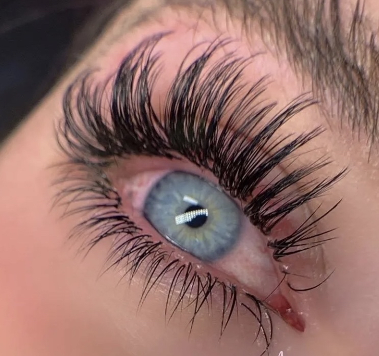 Bottom Eyelashes