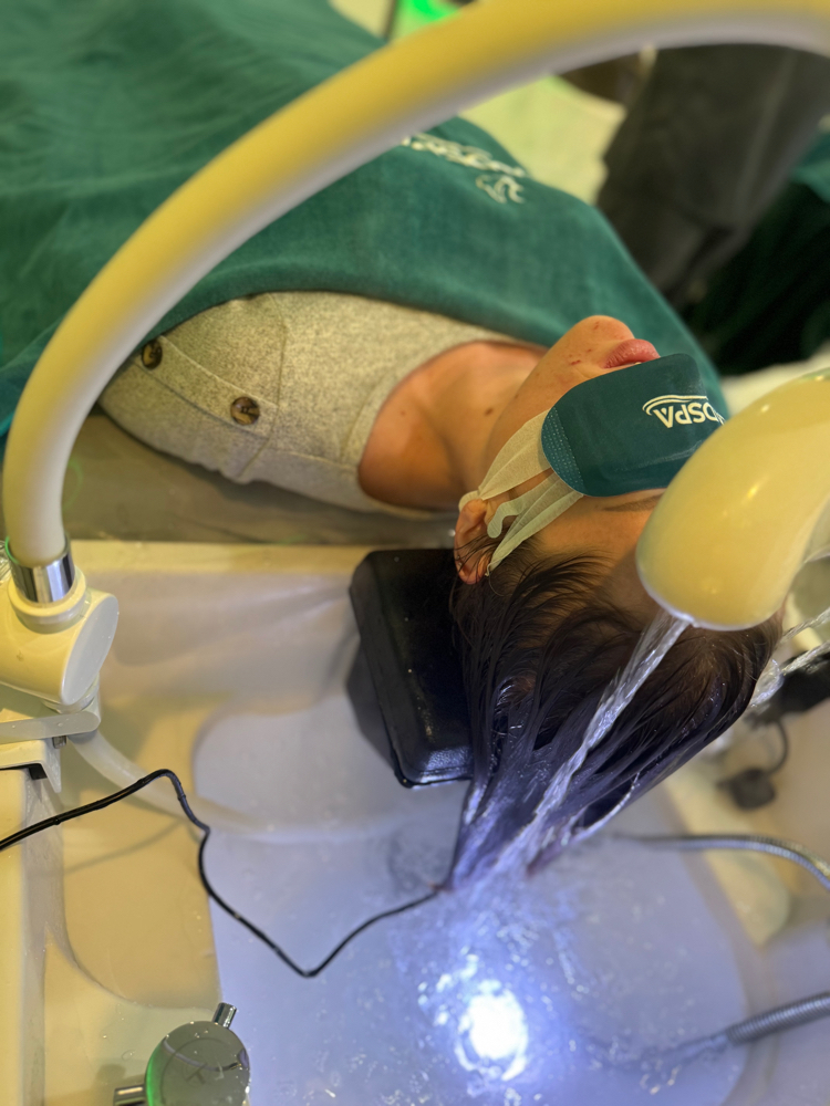 👑 Divine Crown Renewal