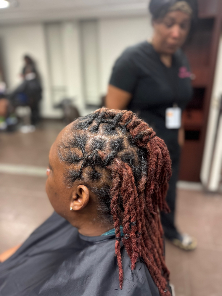 Retwist Only (Palm Rolling)