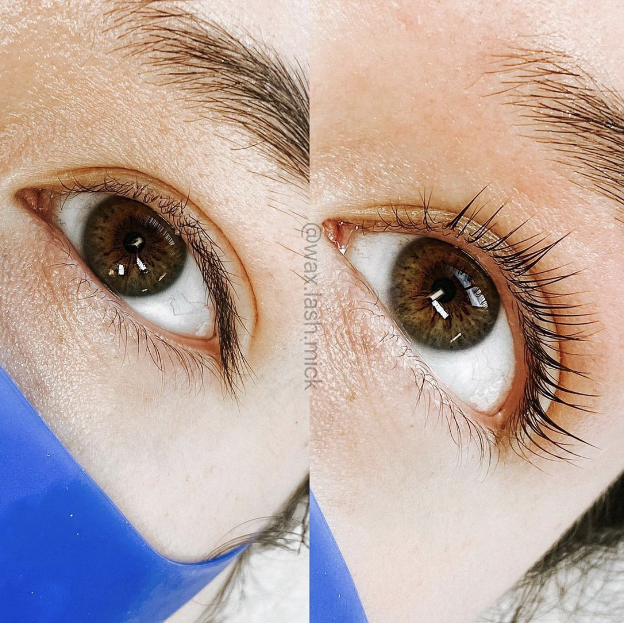 Lash Lift + Tint