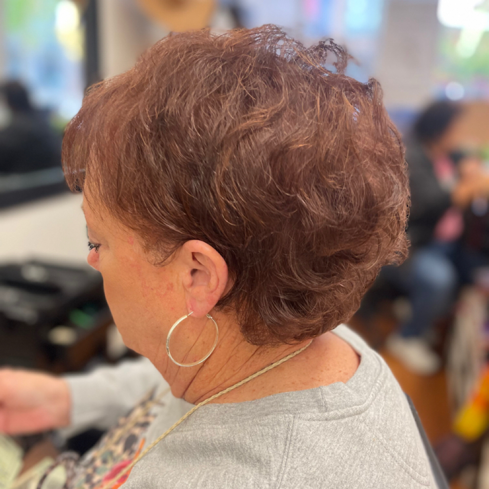 Root Touch-Up at Something To Talk About Salon in Marion, NC