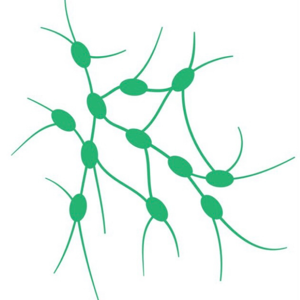 Lymphatic Massage at Massage Therapy Maria in Parkersburg, WV