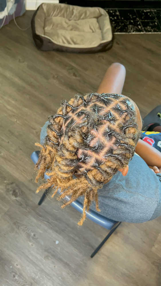 Loc Retwist