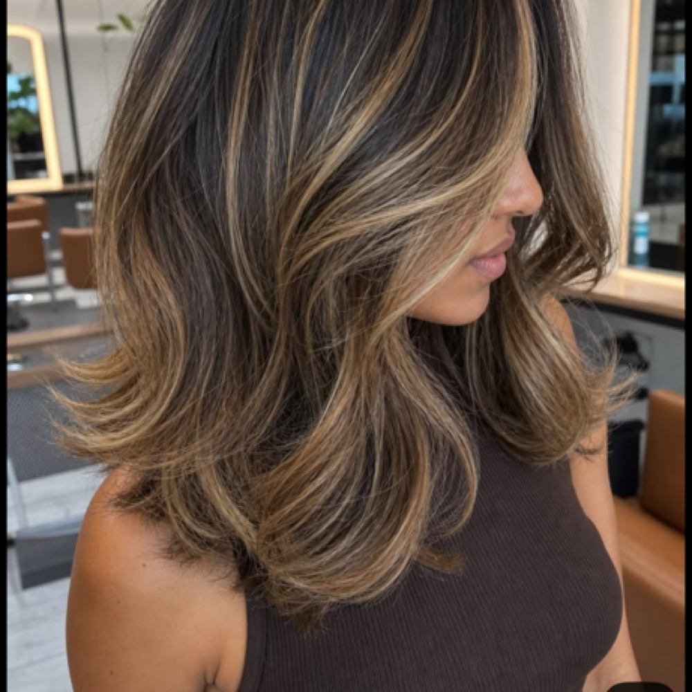 Medium Length Partial HLT & Haircut at Wild Ivy Salon in Phoenix, AZ