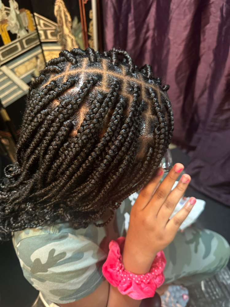 Regular Short Box Braid