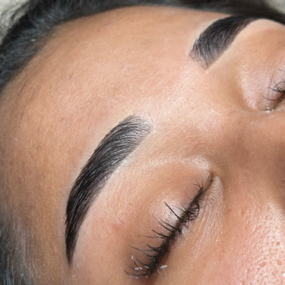 Brow Lami Model at Luna Beauty & Wellness in Coral Springs, FL